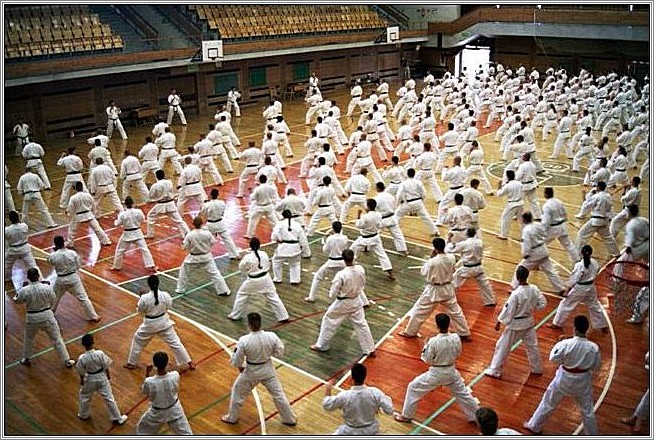 <b>European Karate Summer Camp 2004<br />Cracow, Poland</b><br />languages: Polish, Japanese, English