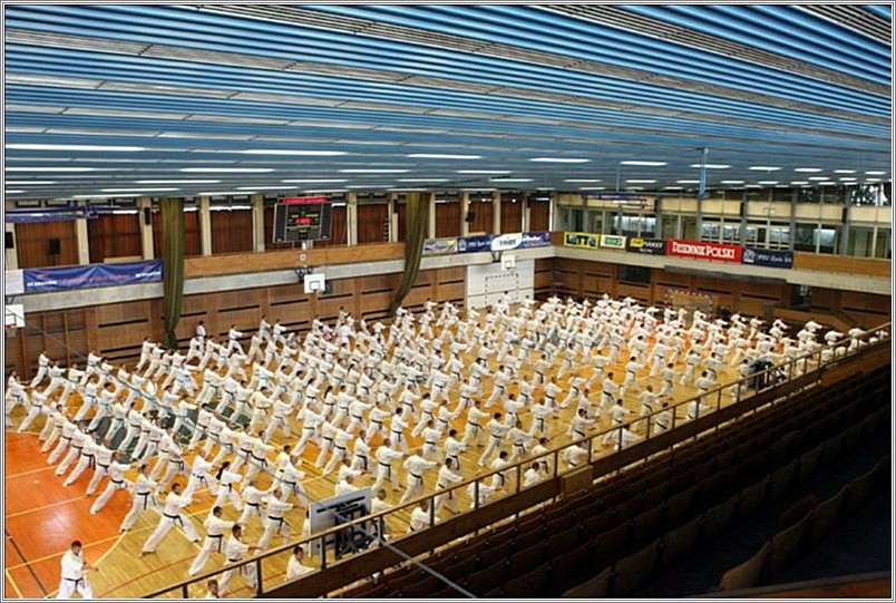 <b>European Karate Summer Camp 2007<br />Cracow, Poland</b><br />languages: Polish, English, Japanese