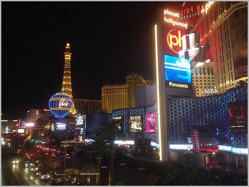 <b>DEMA diving exhibition<br />Las Vegas, USA</b><br />languages: Japanese, English